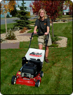 Professional Lawn and Yard Care