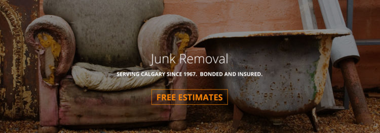 Junk Removal and Yard Cleanup